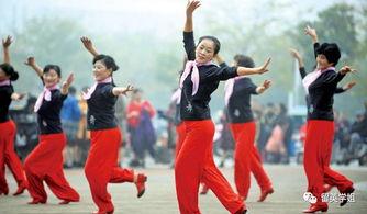 奇葩广场舞视频大全,奇葩广场舞视频大全盘点